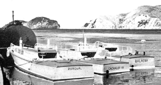 Screen Shot 2018-03-13 at 1.02.07 pm