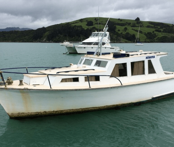 Screen Shot 2018-04-18 at 3.51.20 pm