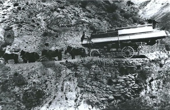 C0051124-DCC0-4705-9F67-769D09E3F331