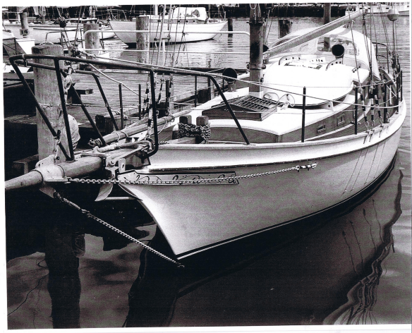 Screen Shot 2018-06-01 at 8.41.12 am