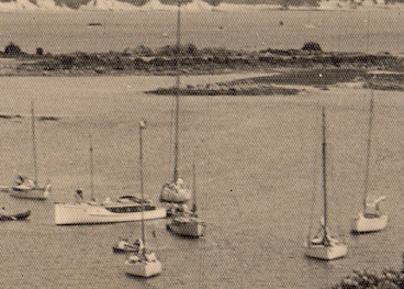 Screen Shot 2018-06-05 at 4.47.40 pm