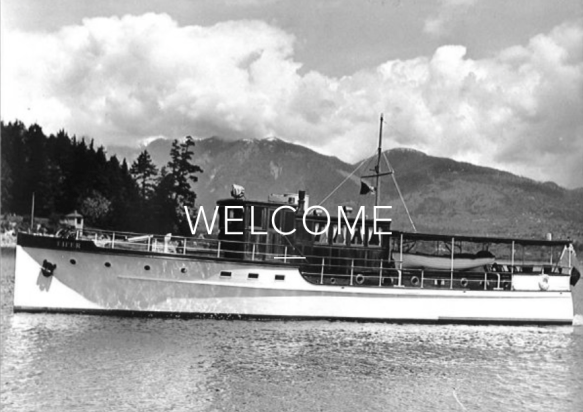 Screen Shot 2018-06-13 at 3.17.18 pm