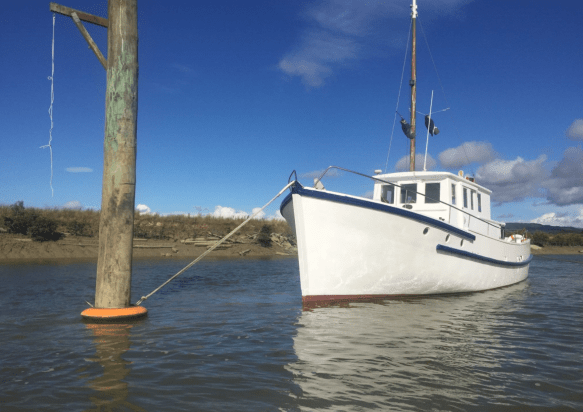 Screen Shot 2018-06-14 at 2.08.48 pm