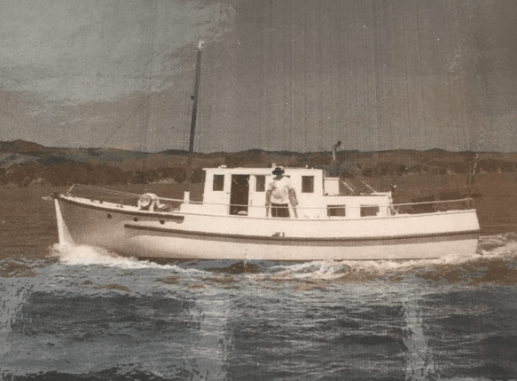 Screen Shot 2018-06-14 at 2.09.39 pm