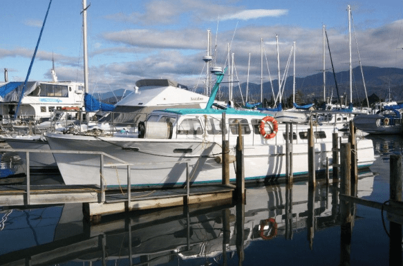 Screen Shot 2018-06-20 at 3.32.23 pm