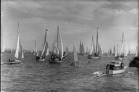 36692316_2096435660678631_3820746702579564544_n