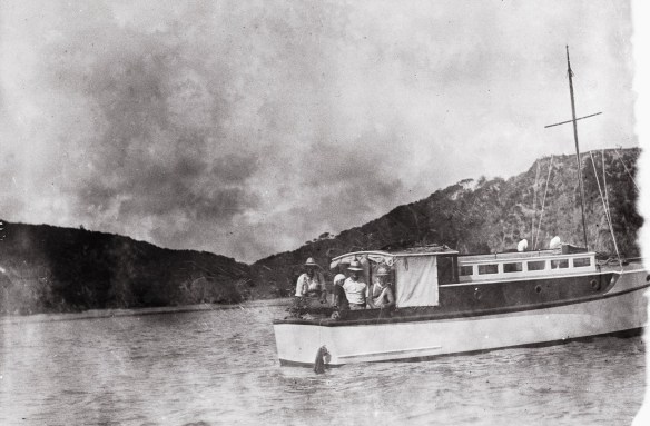 29496192_10155532573035669_7811932357597855744_o