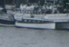 Screen Shot 2018-07-27 at 11.40.30 am