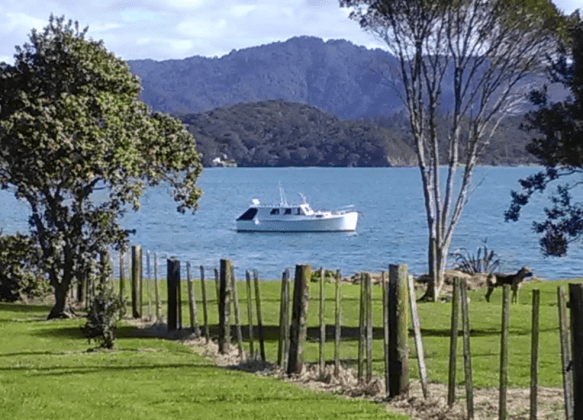 Screen Shot 2018-08-21 at 2.47.00 pm