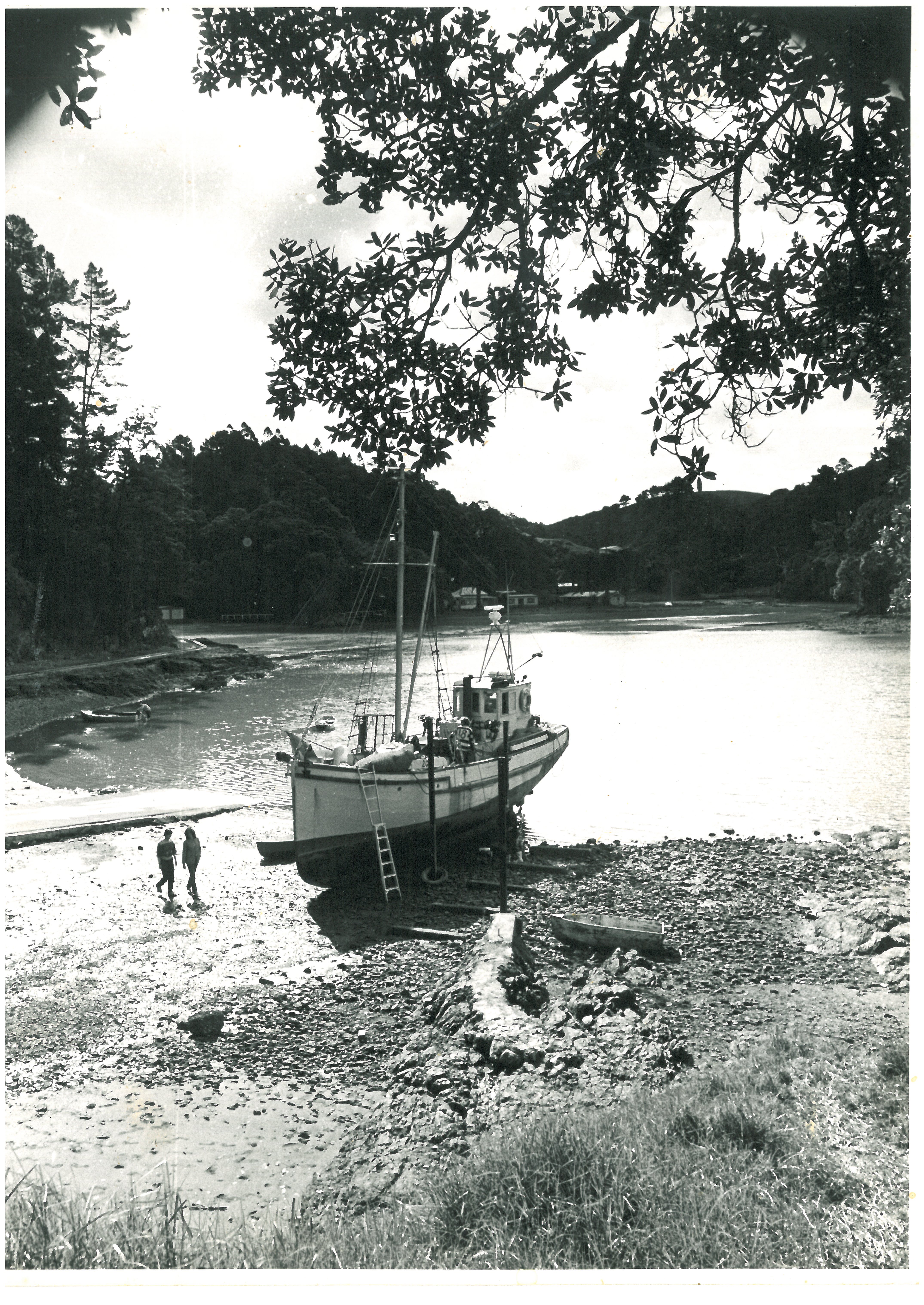 Skonnsc28015080317001