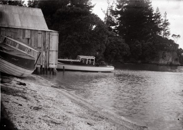 29433310_10155532573780669_8274193975359832064_o