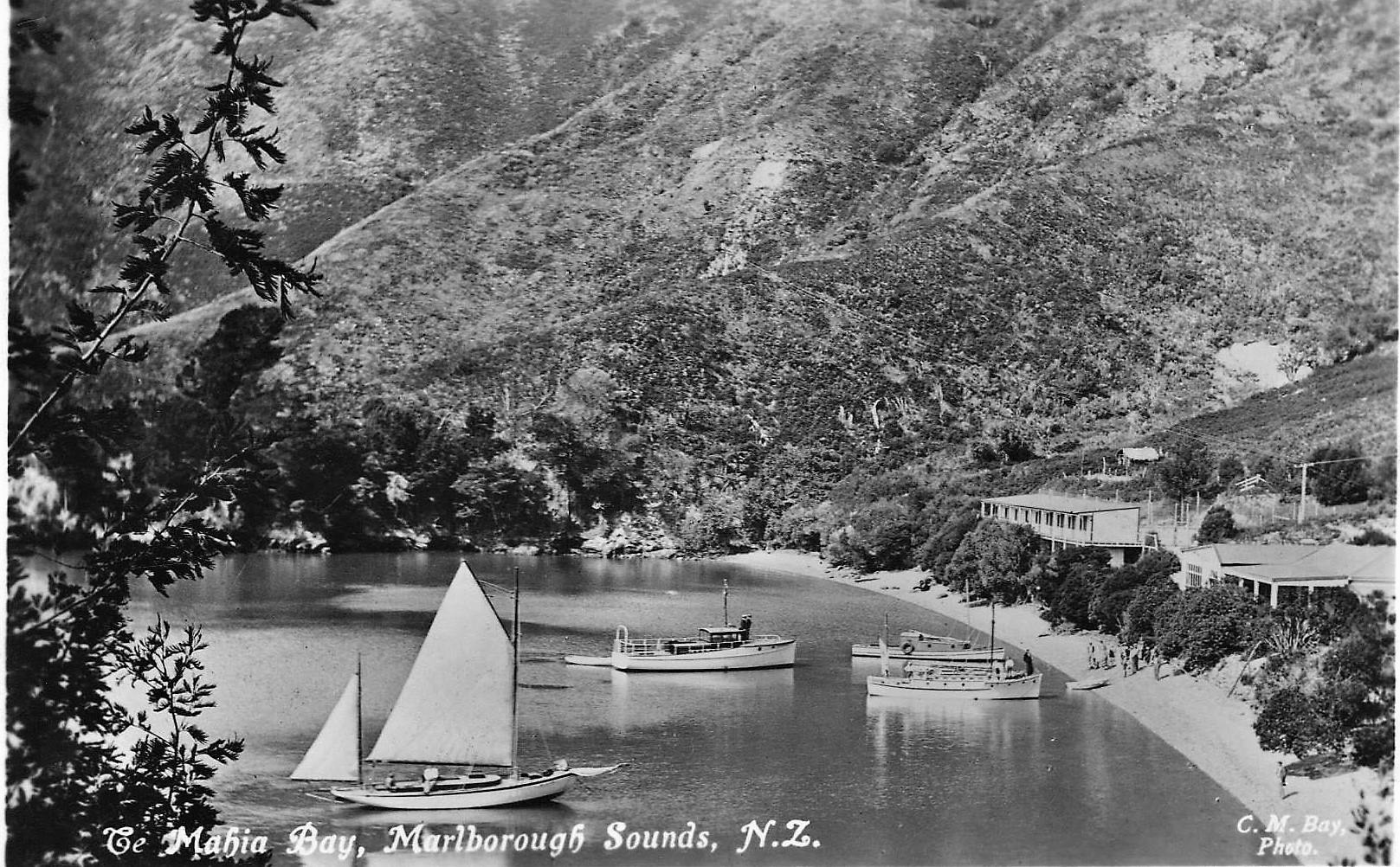 39087723_2142733192715544_7482786370637791232_o