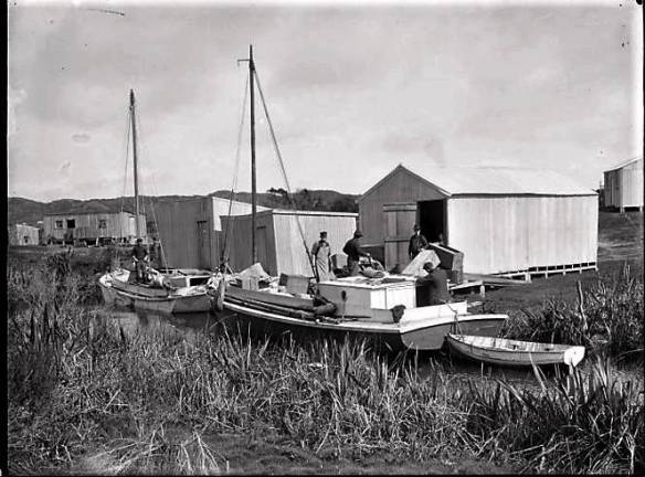 41229922_2162714717384058_5747079344887431168_n