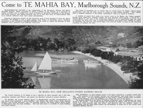 Screen Shot 2018-09-12 at 10.17.30 PM