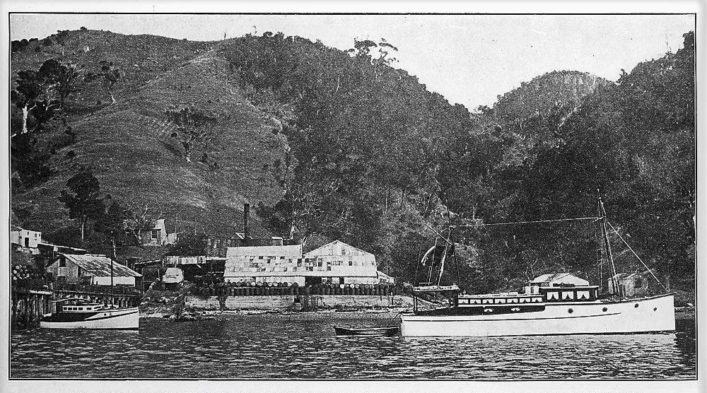 1928 Whangamumu