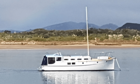 Four Winds Ngunguru Harbour ctsy Arty Green