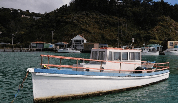 Screen Shot 2018-10-18 at 8.01.03 PM