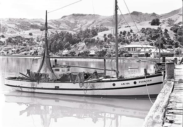 44250834_2187117778277085_7191874049402732544_n