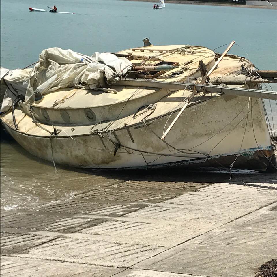 46098818_10156766362638700_7973281351057014784_n