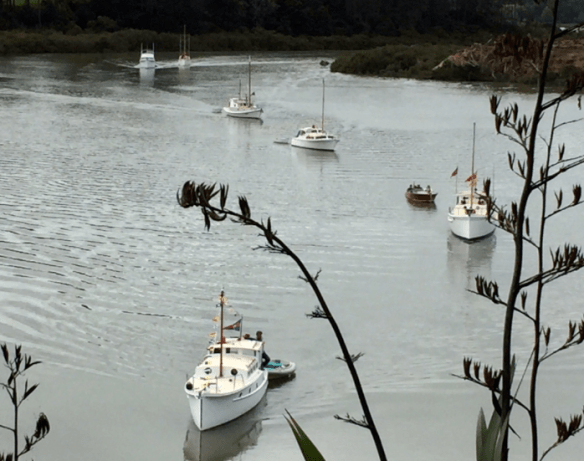 Screen Shot 2018-11-08 at 2.10.56 PM