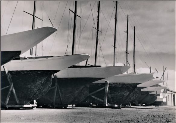 48355627_2231320580523471_1209192989297999872_o