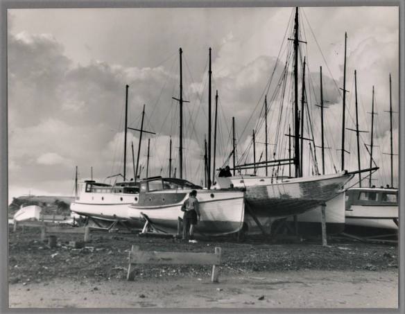 48373309_2231306743858188_2560697164443418624_o