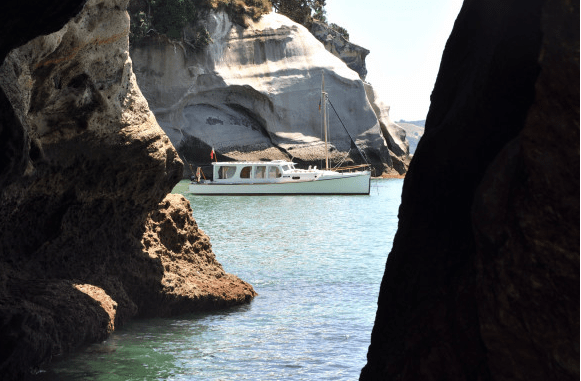 Screen Shot 2018-12-26 at 5.44.11 PM