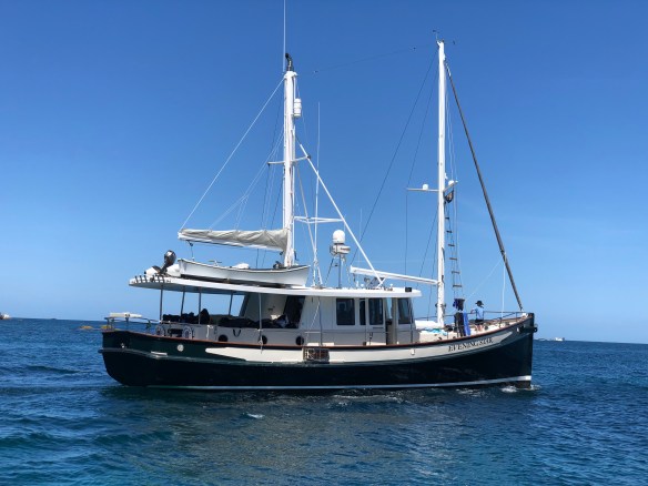 evenung star gt barrier 2019