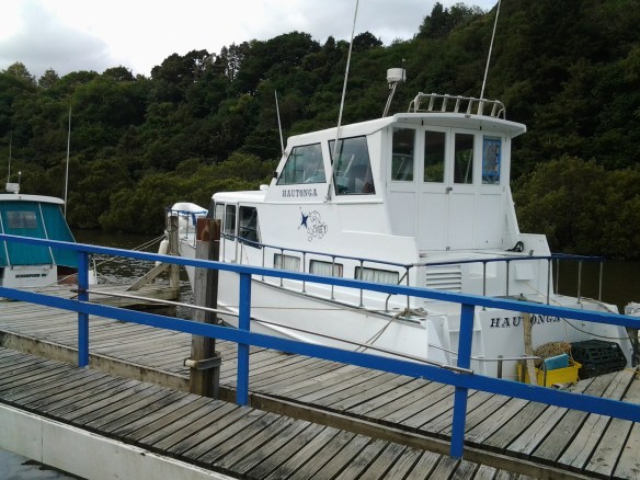 hautonga warkworth river dec2018 - 2