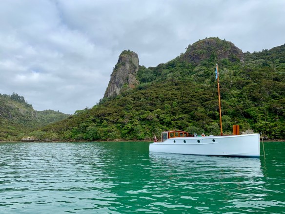 my girl whangaroa jan 2019