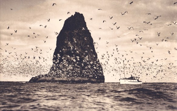 mystery launch 22-01