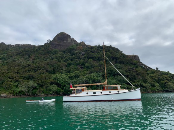 pacific whangaroa jan 2019