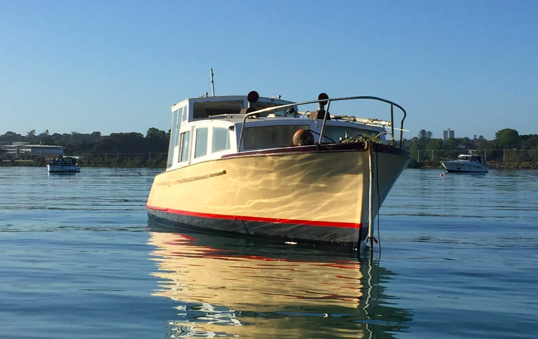 screen shot 2019-01-10 at 8.22.32 pm