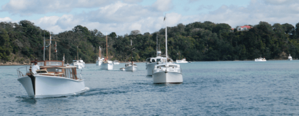 screen shot 2019-01-16 at 1.18.55 pm