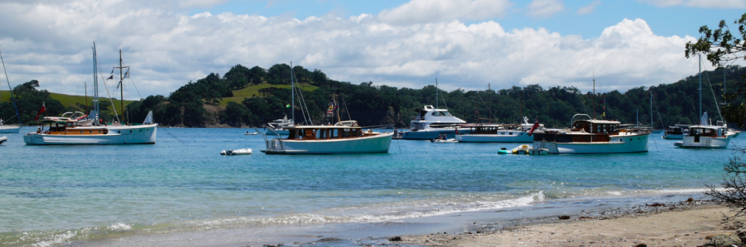 screen shot 2019-01-16 at 1.19.44 pm