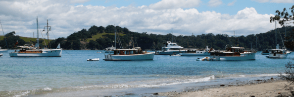 screen shot 2019-01-16 at 1.19.44 pm