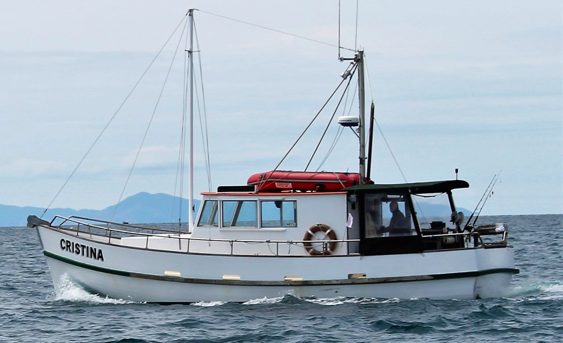 screen shot 2019-01-17 at 10.55.51 am