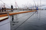 DSC05561