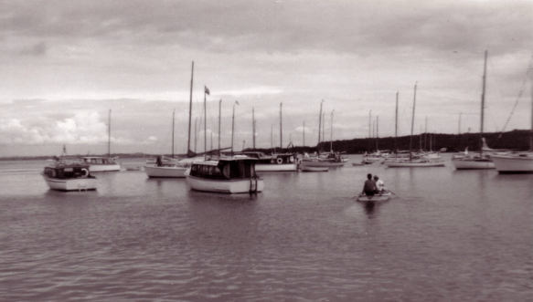 Screen Shot 2019-01-20 at 4.46.34 PM