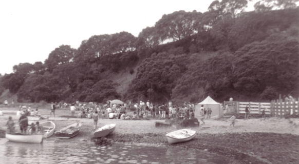 Screen Shot 2019-01-20 at 4.46.57 PM