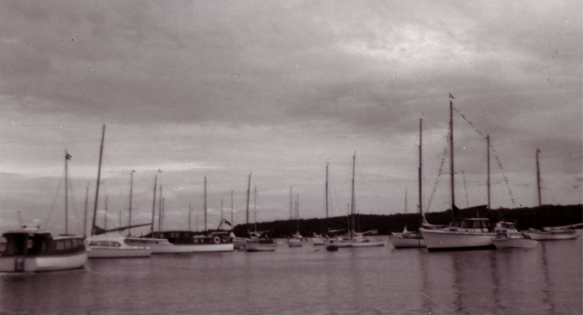 Screen Shot 2019-01-20 at 4.47.47 PM