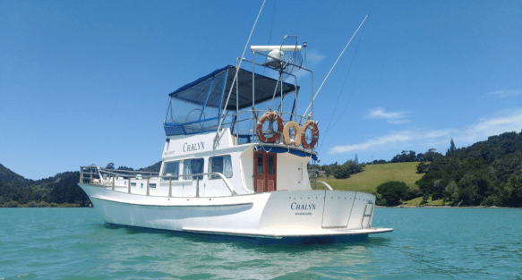 Screen Shot 2019-02-19 at 8.51.50 PM