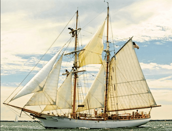 Screen Shot 2019-02-23 at 5.08.01 PM