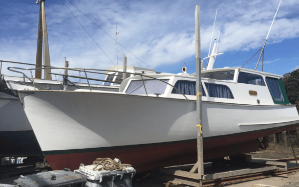 Screen Shot 2019-02-25 at 3.38.40 PM