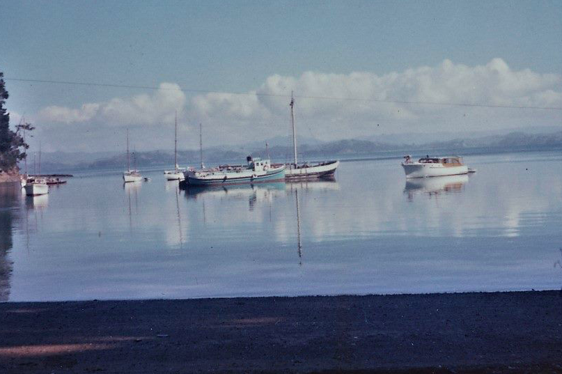 Screen Shot 2019-02-06 at 8.18.56 PM