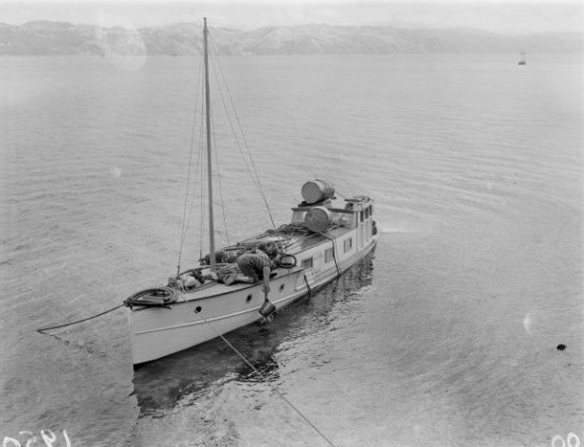 Screen Shot 2019-03-06 at 9.17.34 PM