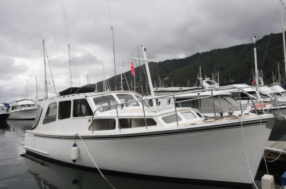 Screen Shot 2019-03-14 at 9.41.57 AM