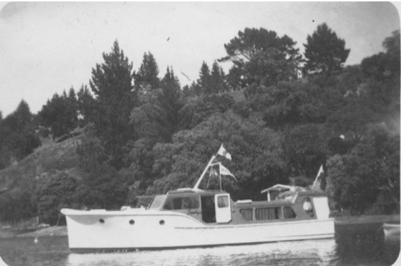 Screen Shot 2019-03-19 at 6.03.33 PM