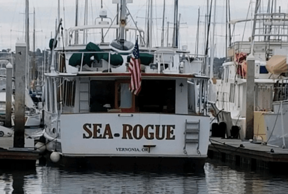 Screen Shot 2019-03-20 at 7.46.15 AM