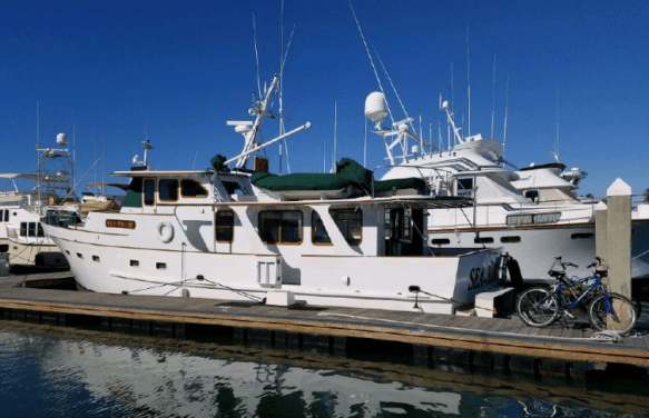 Screen Shot 2019-03-20 at 7.46.25 AM